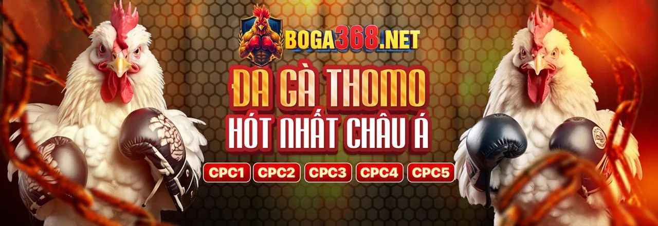 Người chơi đang phân tích dữ liệu và chiến lược cá cược