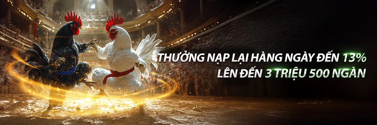 Tin tức 888tocon mới nhất về cá cược trực tuyến và khuyến mãi hấp dẫn